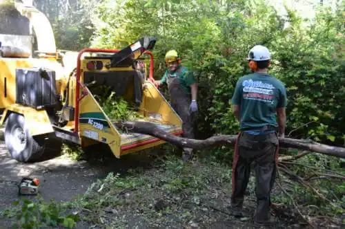 tree services Merced